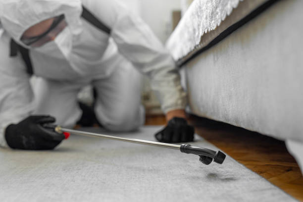 Professional Termite Control technician working in Mojave, CA