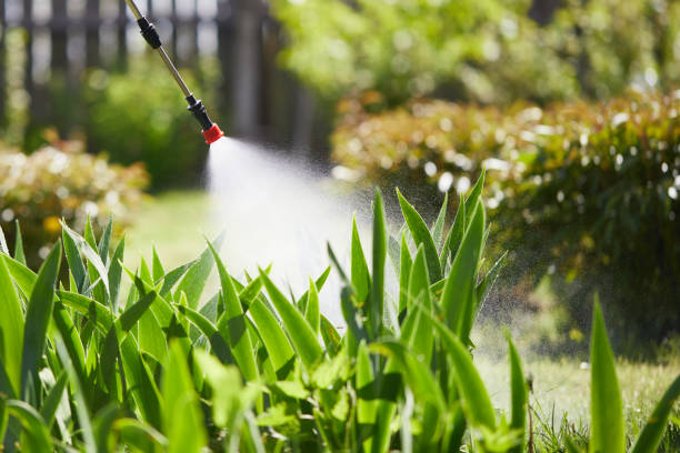 24/7 Emergency Termite Control experts in Mojave, CA
